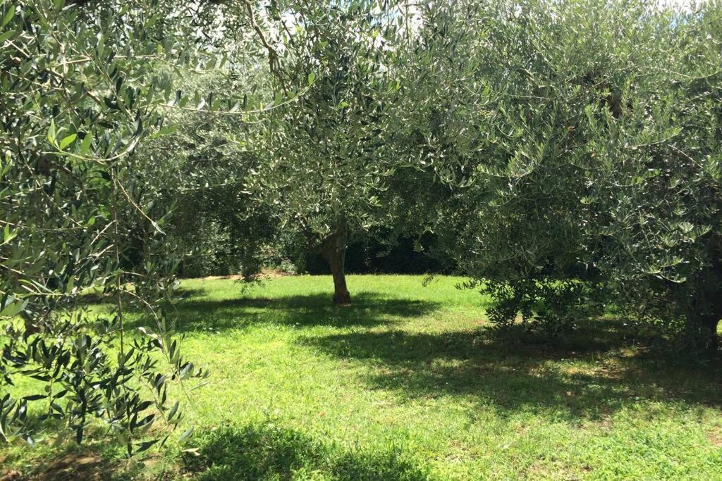 Appartamento Campagna Toscana Presso Terme Lari Esterno foto