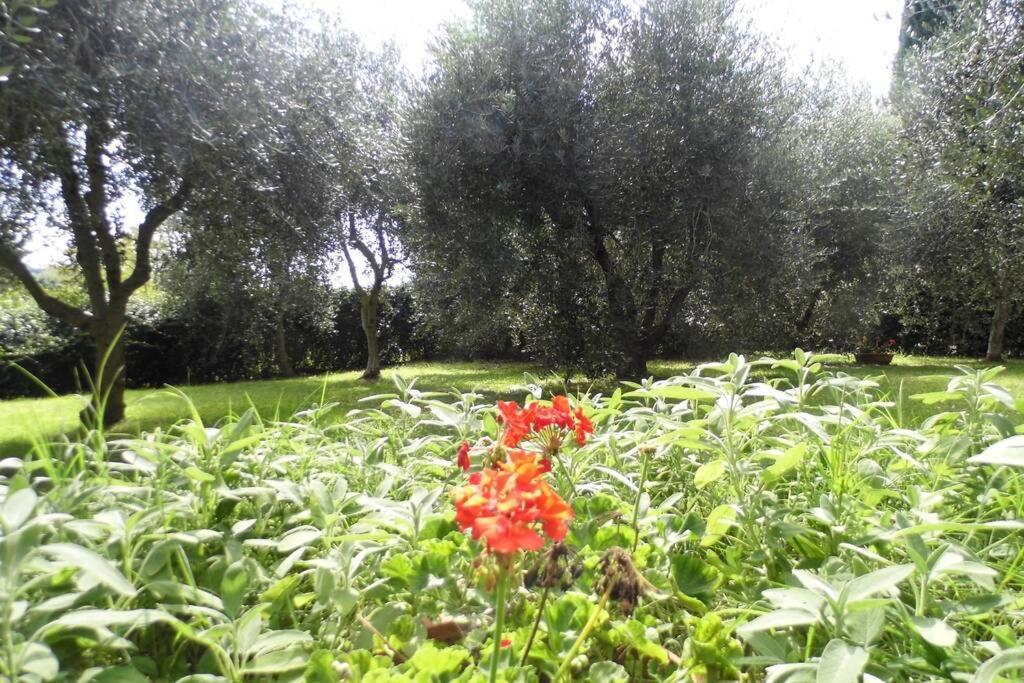 Appartamento Campagna Toscana Presso Terme Lari Esterno foto