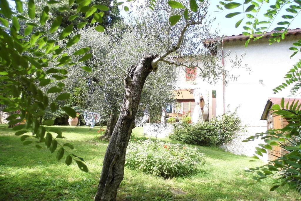 Appartamento Campagna Toscana Presso Terme Lari Esterno foto