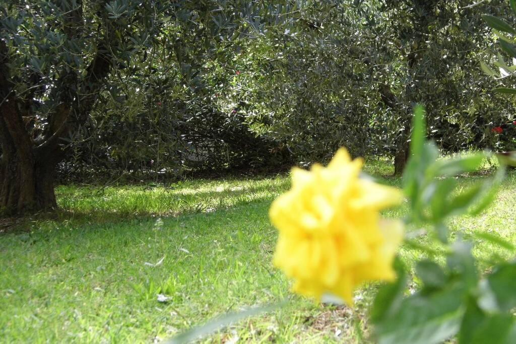 Appartamento Campagna Toscana Presso Terme Lari Esterno foto