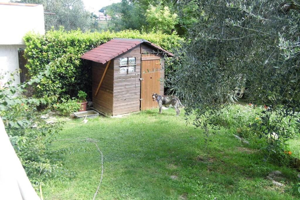 Appartamento Campagna Toscana Presso Terme Lari Esterno foto